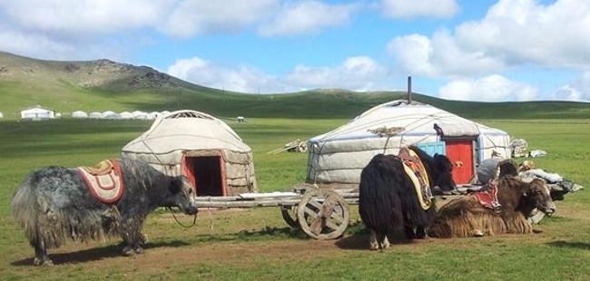 The Mongol Nomadic Camp | Mongolia Travel Guide - Horseback Mongolia